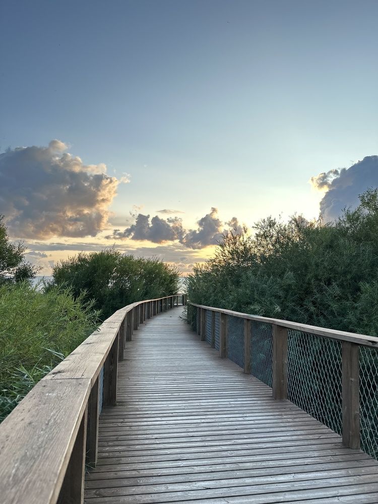 Фотография автора Anna Tikka