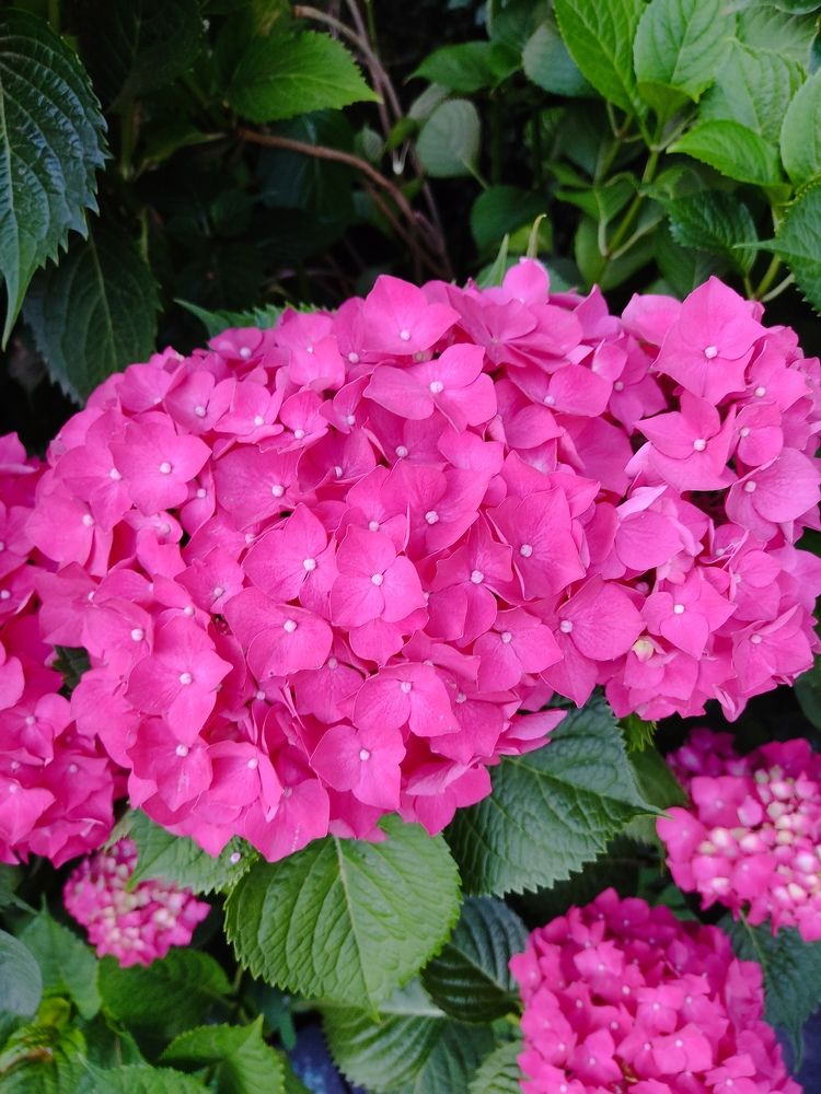 Photograph by Наталья Билай