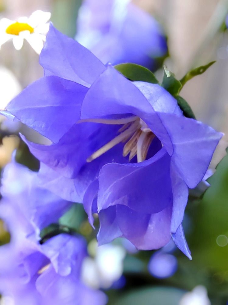 Photograph by Куделенко Оксана