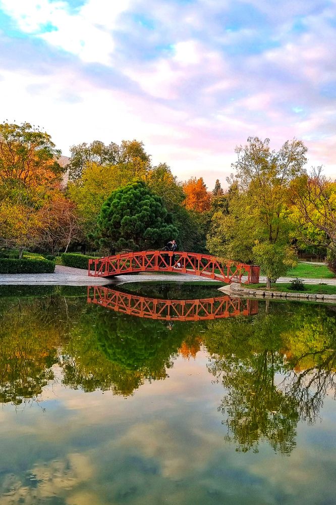 Фотография автора Zahra Seyedmorti