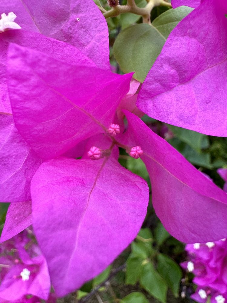 Photograph by Юлия Давшан
