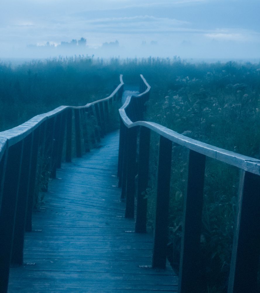 Photograph by Жучков Дмитрий