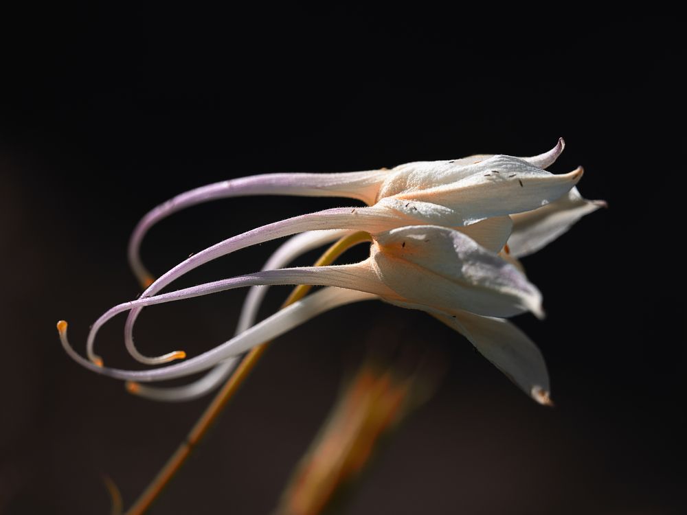 Photograph by Геннадий Суслов