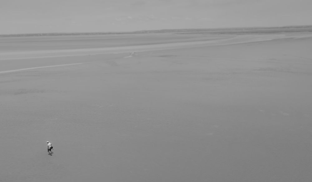 Photograph by Кривенко Владимир