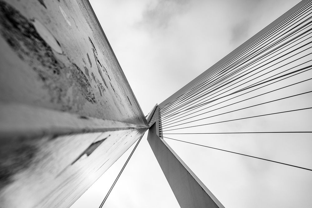 Photograph by Nikita Pazin