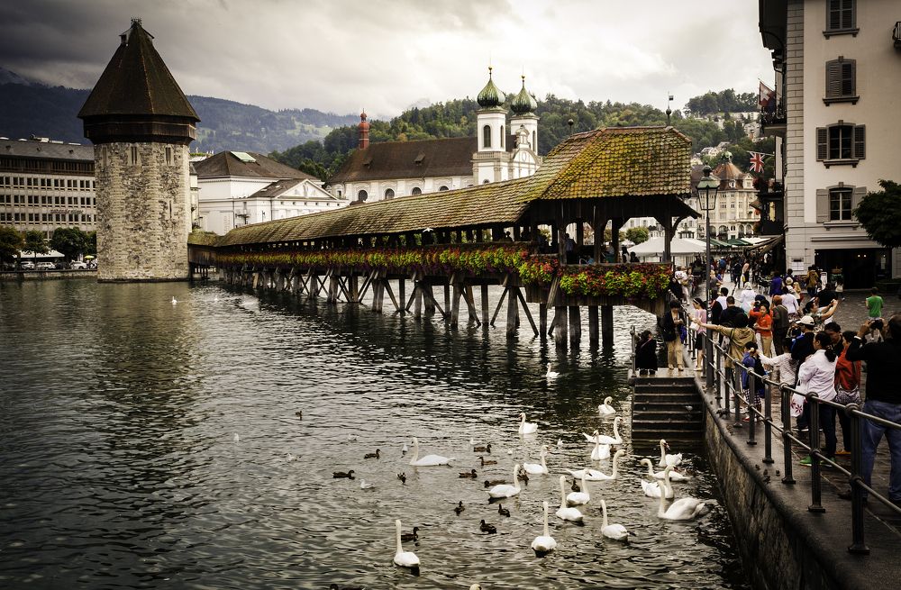 Photograph by Кривенко Владимир