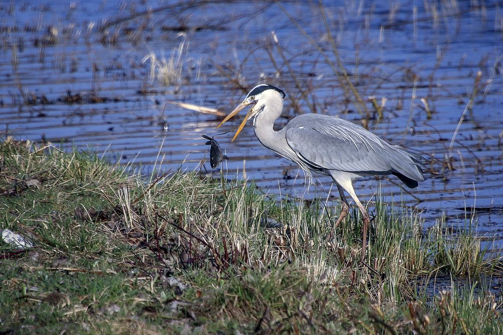 Фотография автора Александр