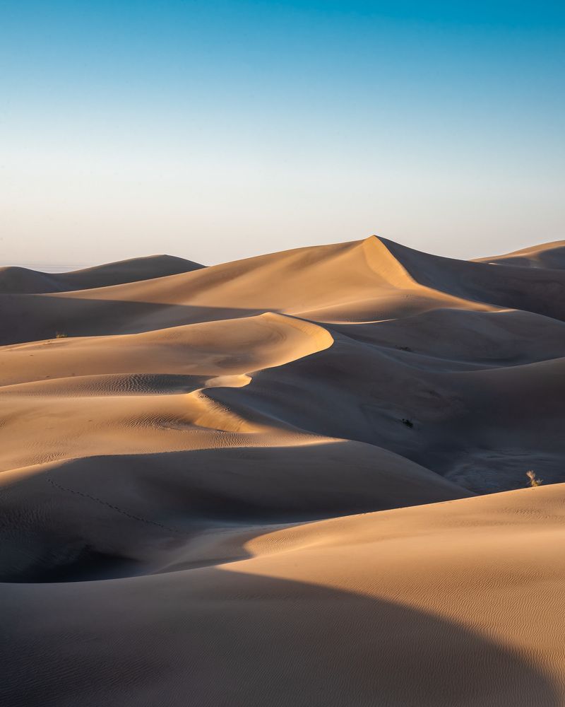 Photograph by Ali Alirezaei