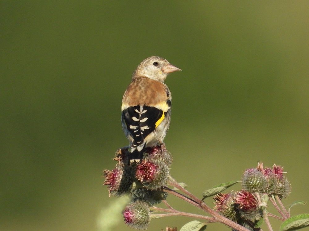 Photograph by Владимир Джерихов