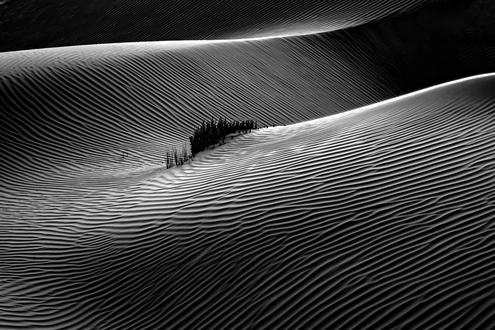 Photograph by Olga Baklunova