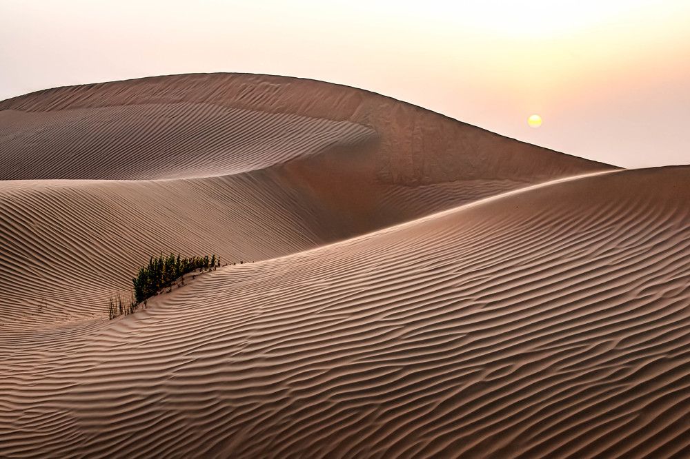 Photograph by Olga Baklunova