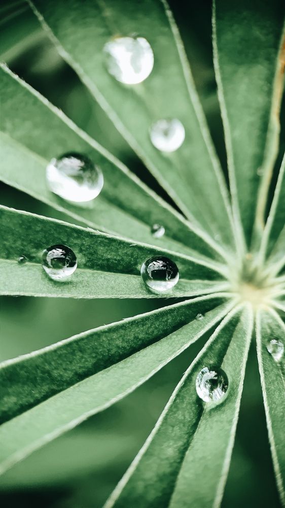 Photograph by Ольга Метлицкая