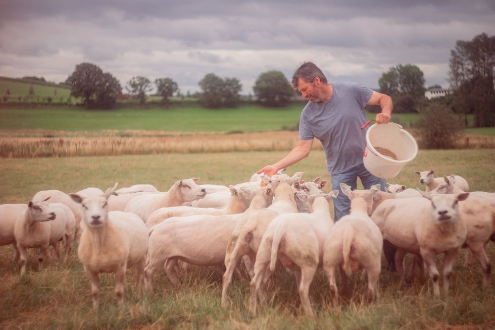 Photograph by Анастасия Аренд-Белоцерковская