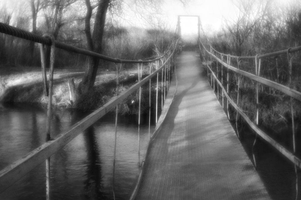 Photograph by Ольга Аристова