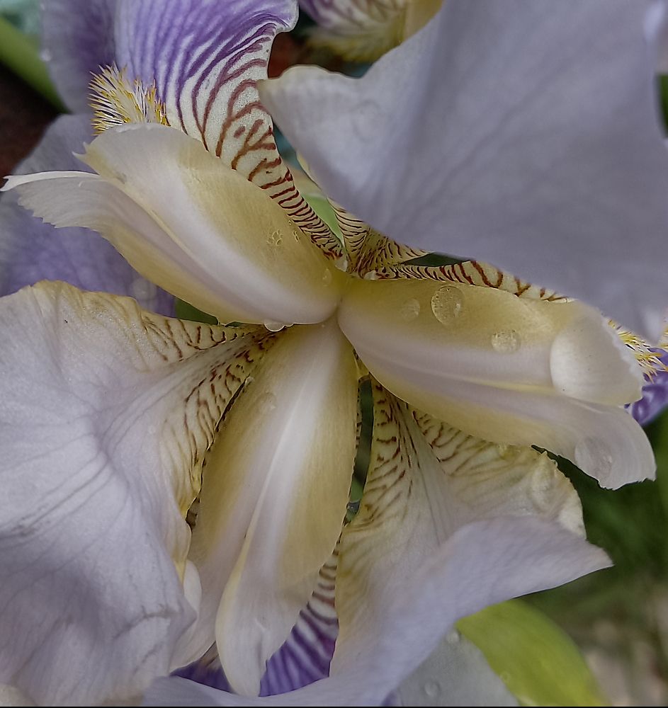 Photograph by Ирина Архипова