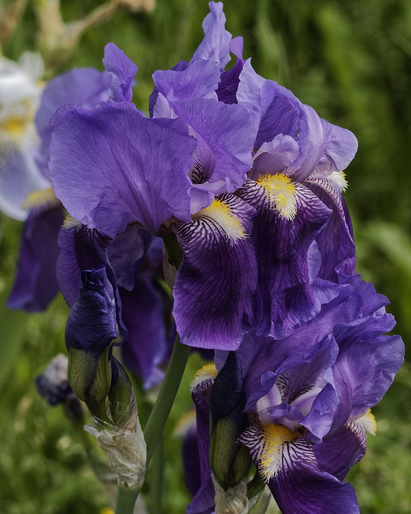 Photograph by Андрей Панин