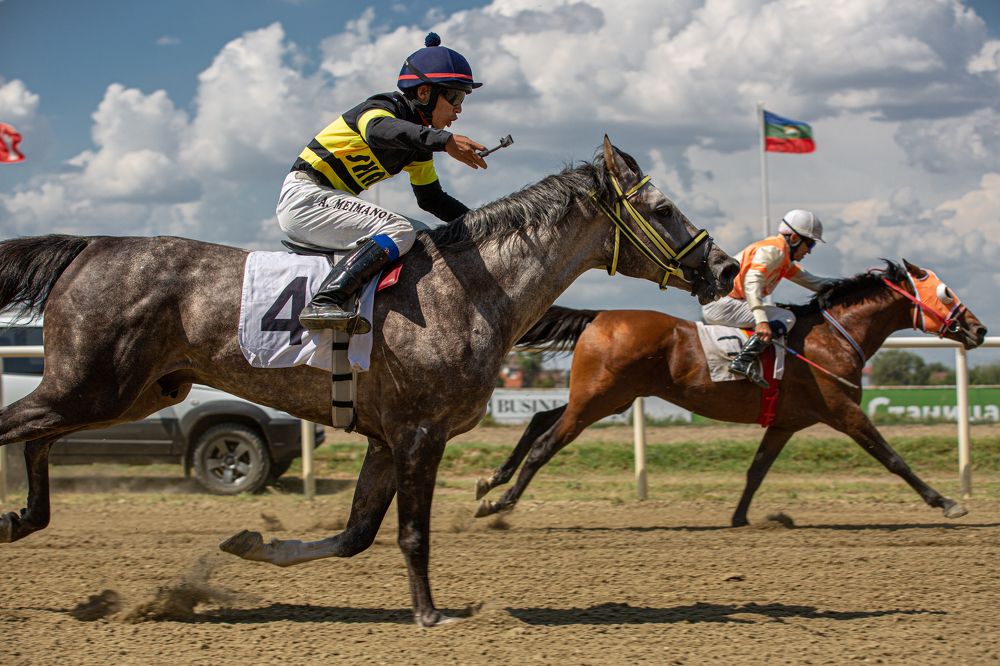 Photograph by Будычева Наталья Викторовна