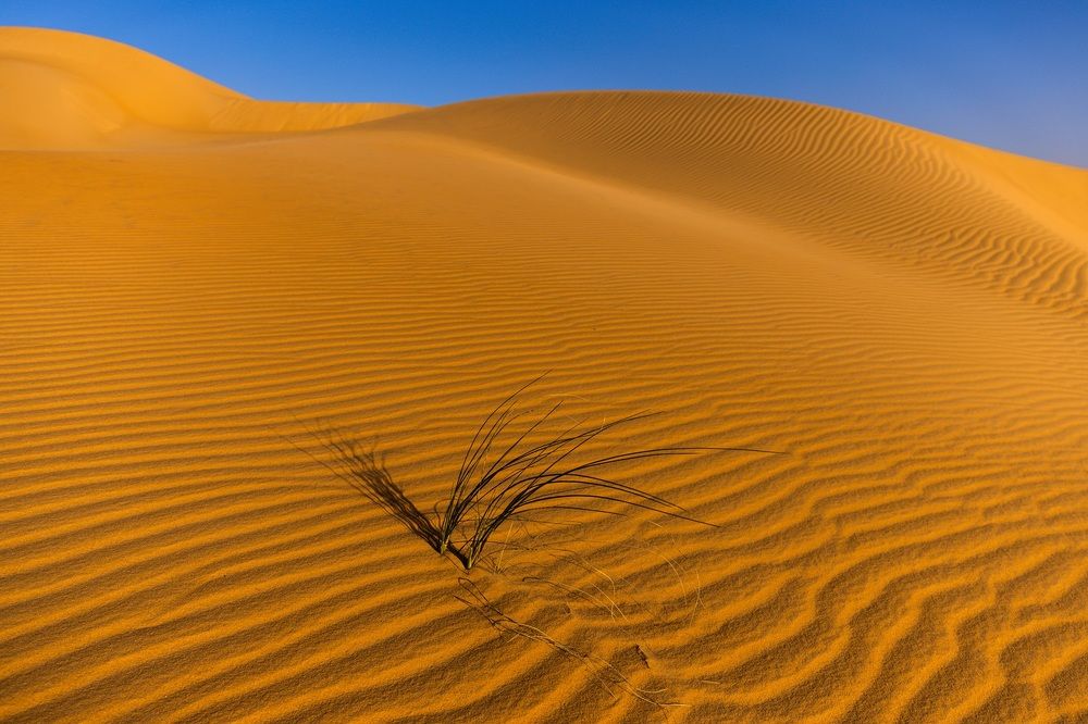 Photograph by Johan Willems