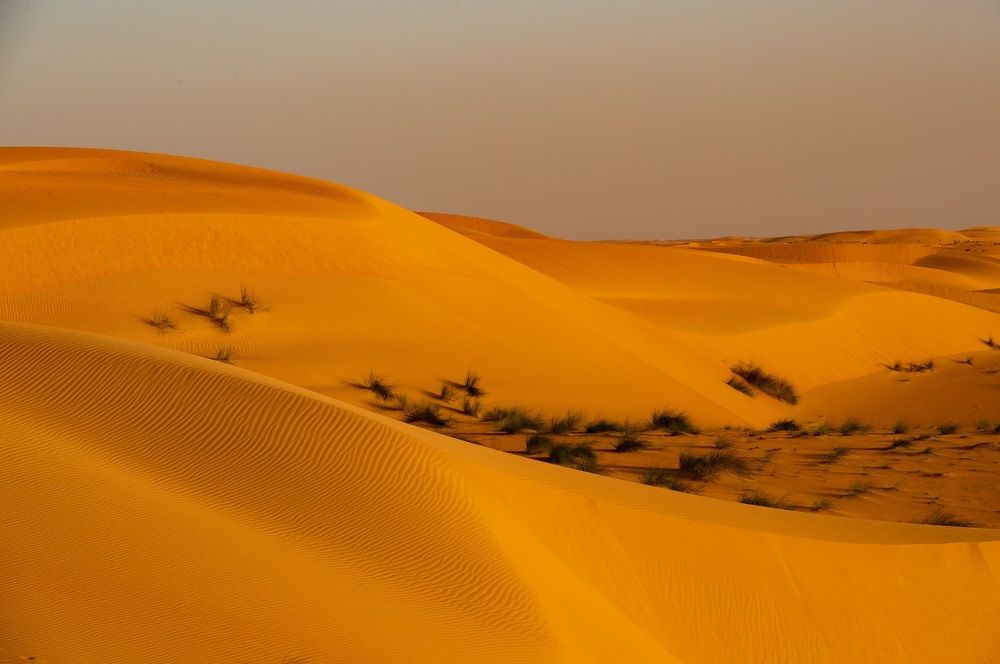 Photograph by Johan Willems