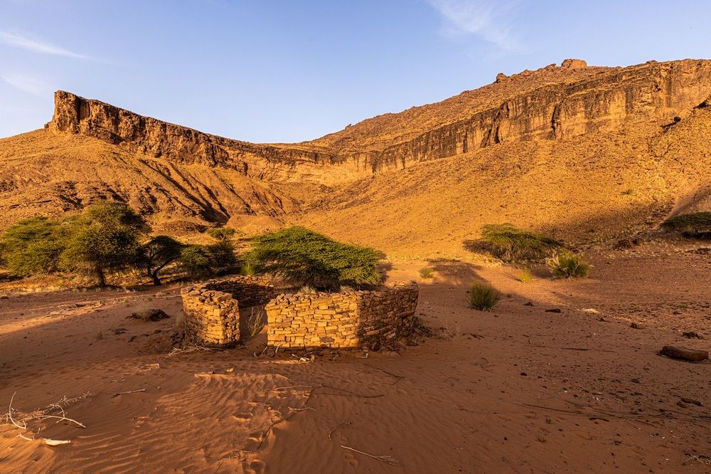 Photograph by Johan Willems