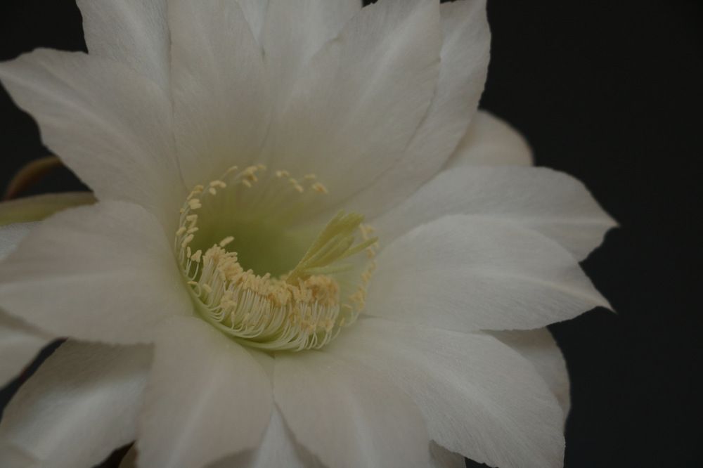 Photograph by Cengiz Yalcin