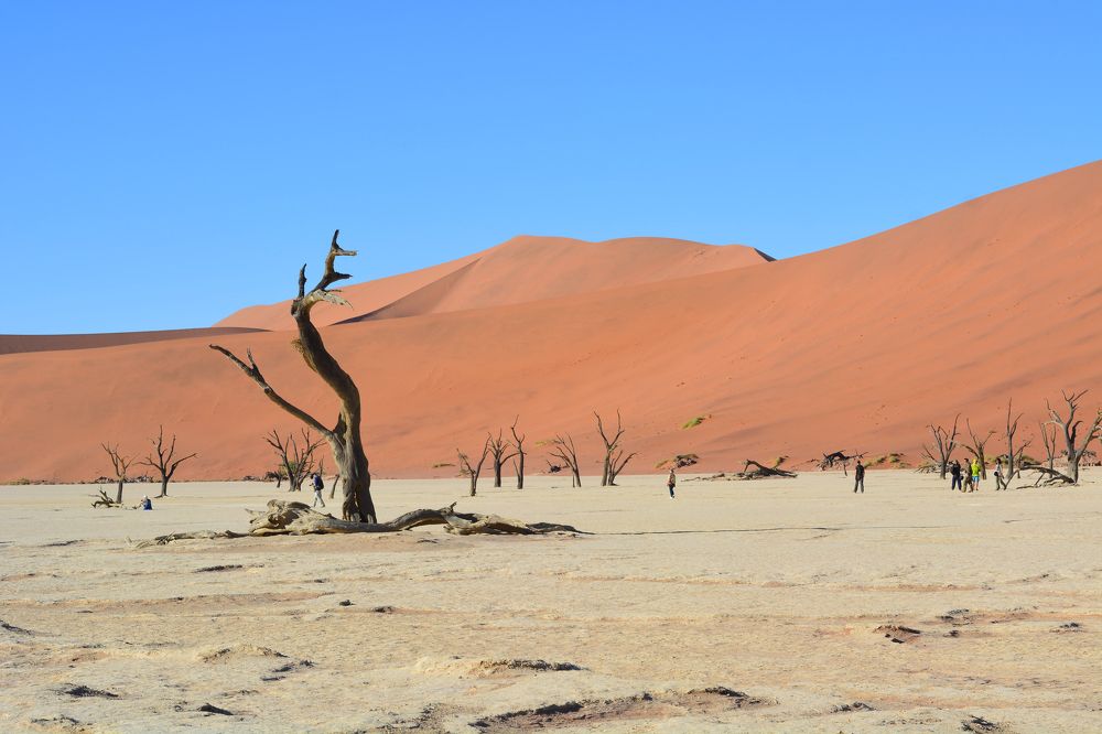 Photograph by Анатолий Орлов