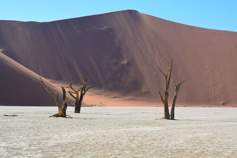 Photograph by Анатолий Орлов