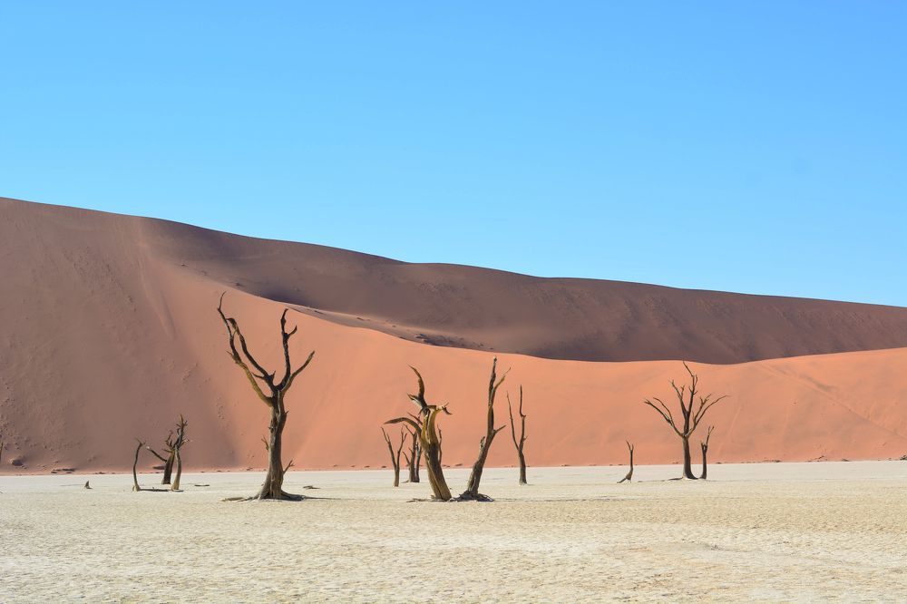 Photograph by Анатолий Орлов