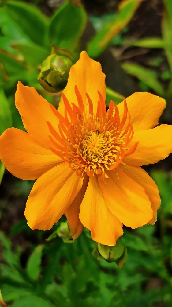 Photograph by Людмила Щуцкая