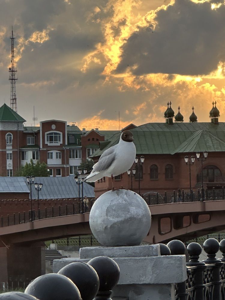 Photograph by Анастасия Михеева