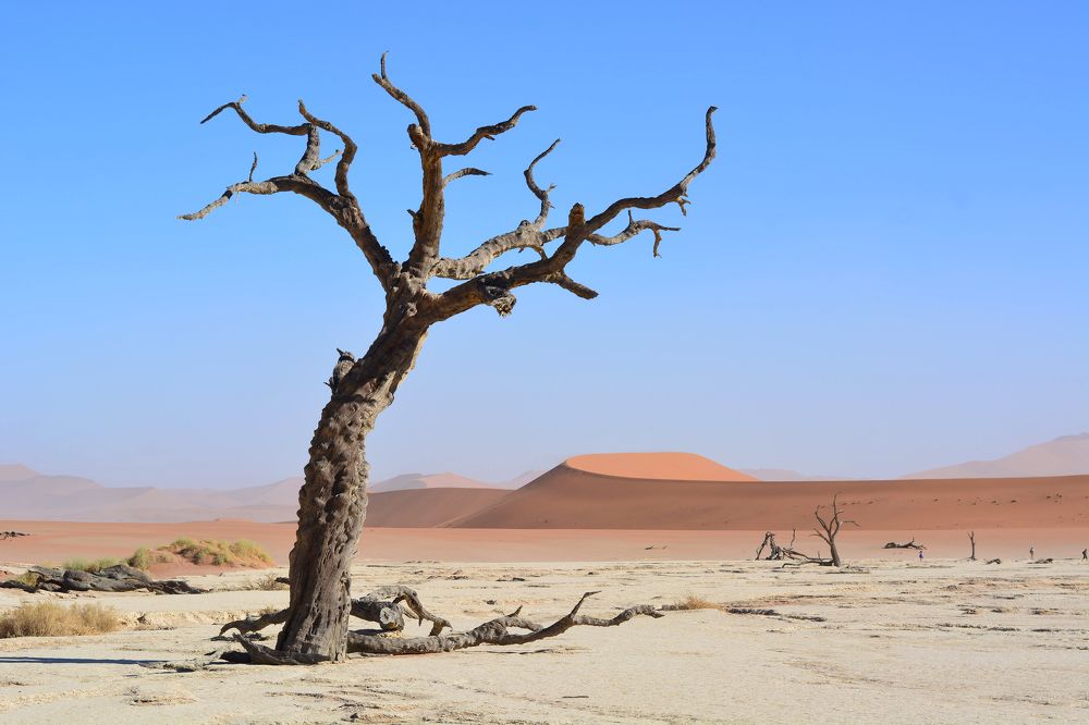 Photograph by Анатолий Орлов