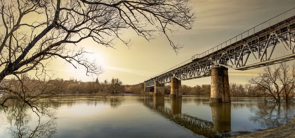 Photograph by Людмила Железнова