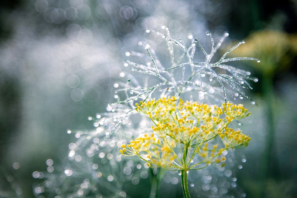 Фотография автора Станислава Гордеева