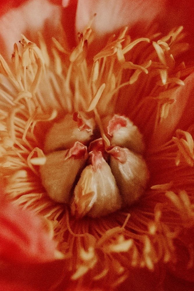 Photograph by Ольга Хентова