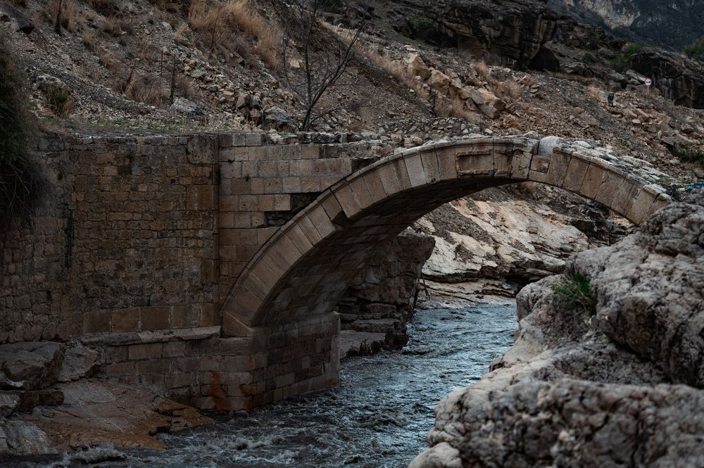 Photograph by Елена Ефимова