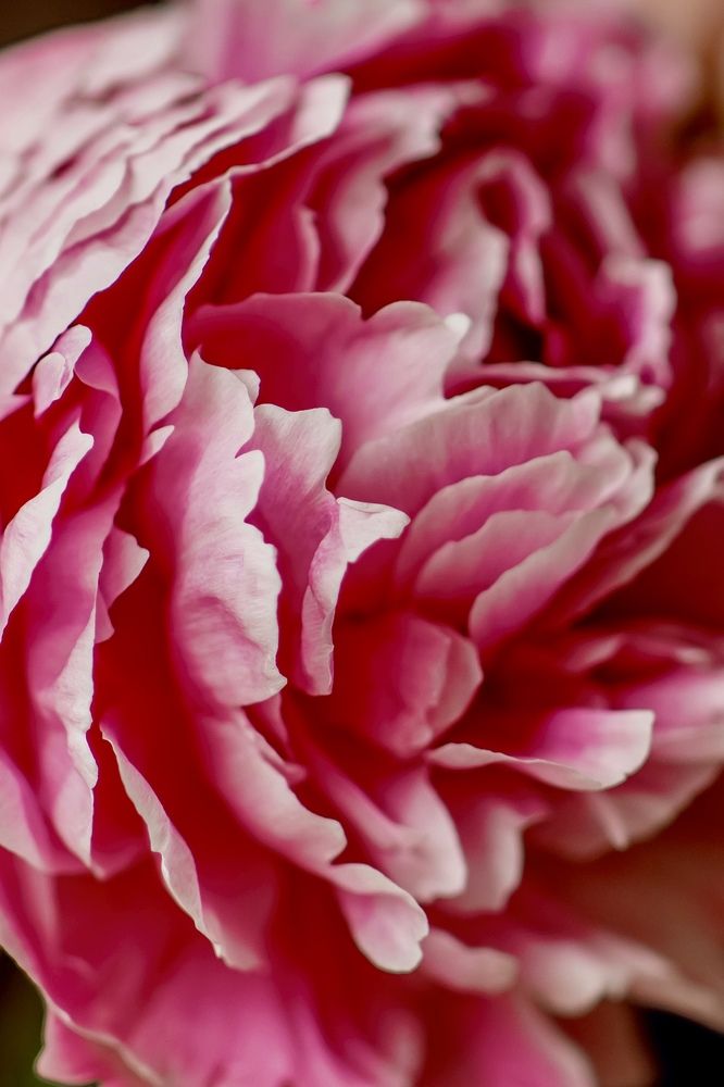 Photograph by Ольга Хентова