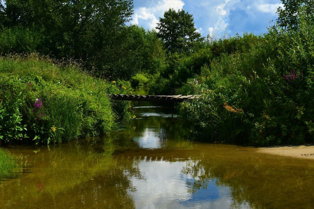 Photograph by Николай Абакумов