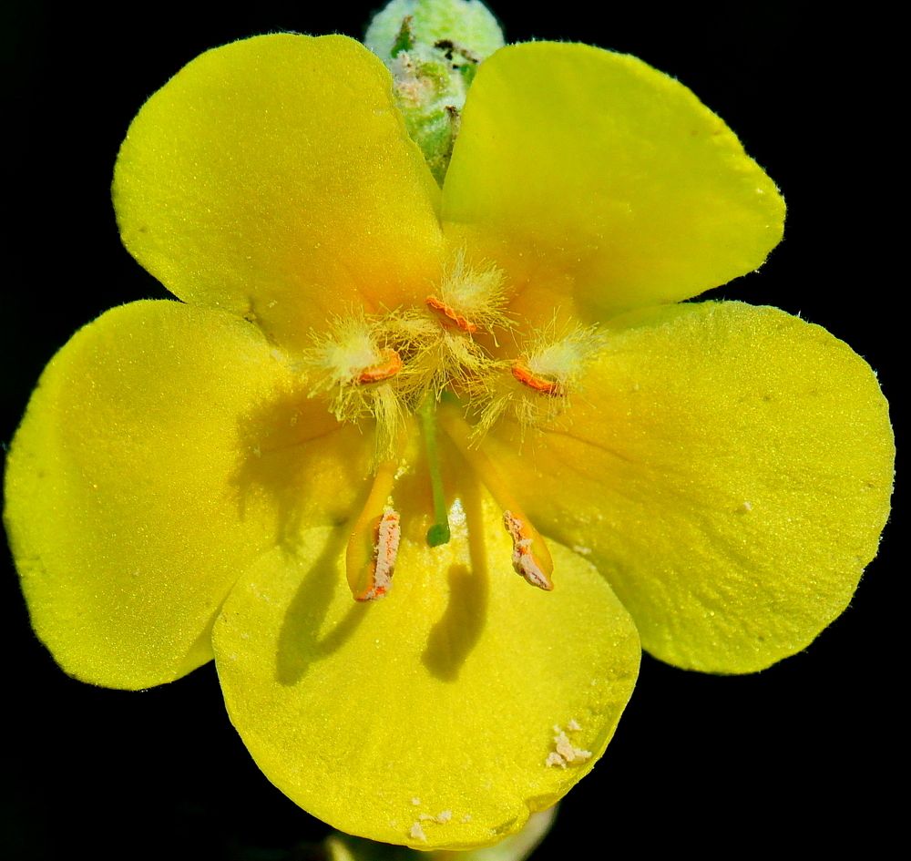 Photograph by Octavian Timosco