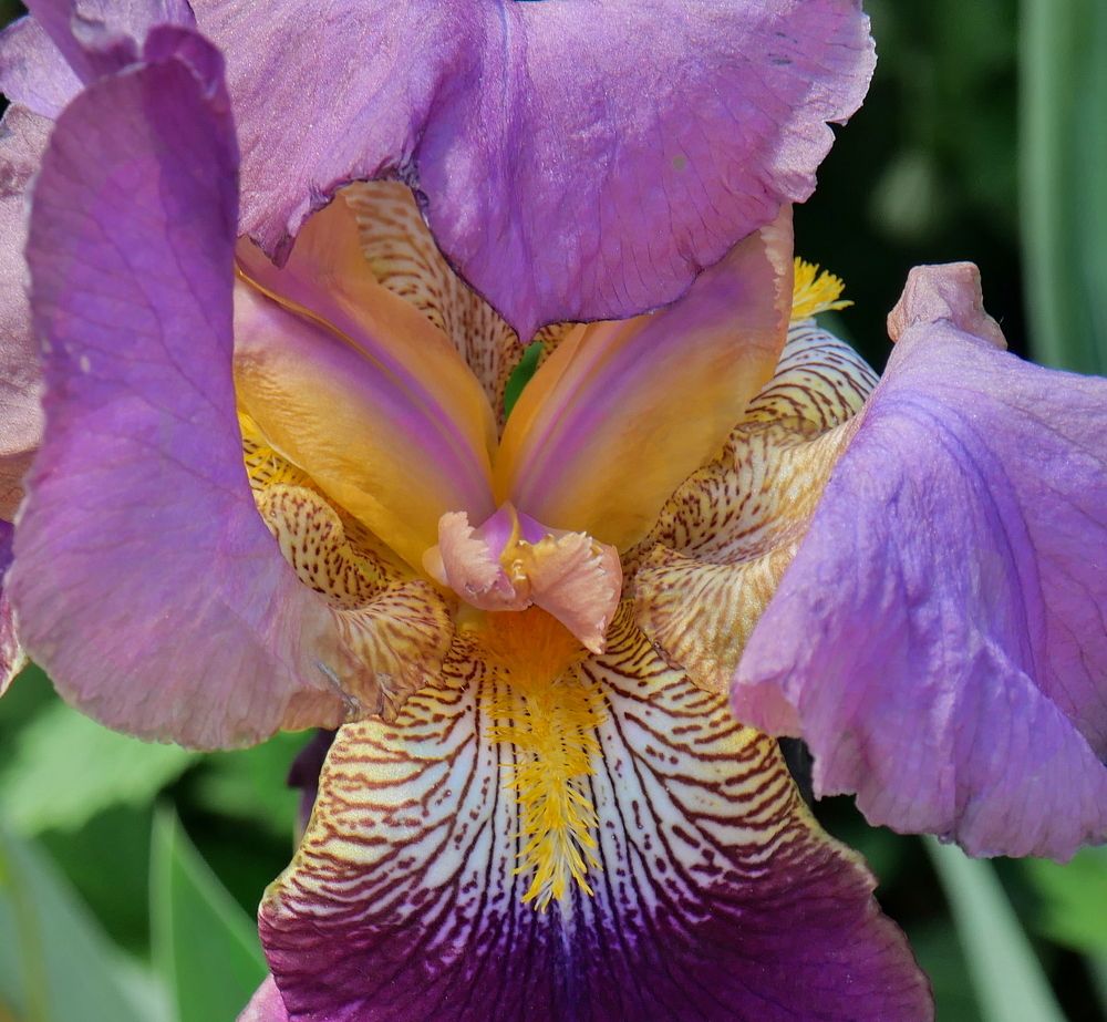 Photograph by Octavian Timosco