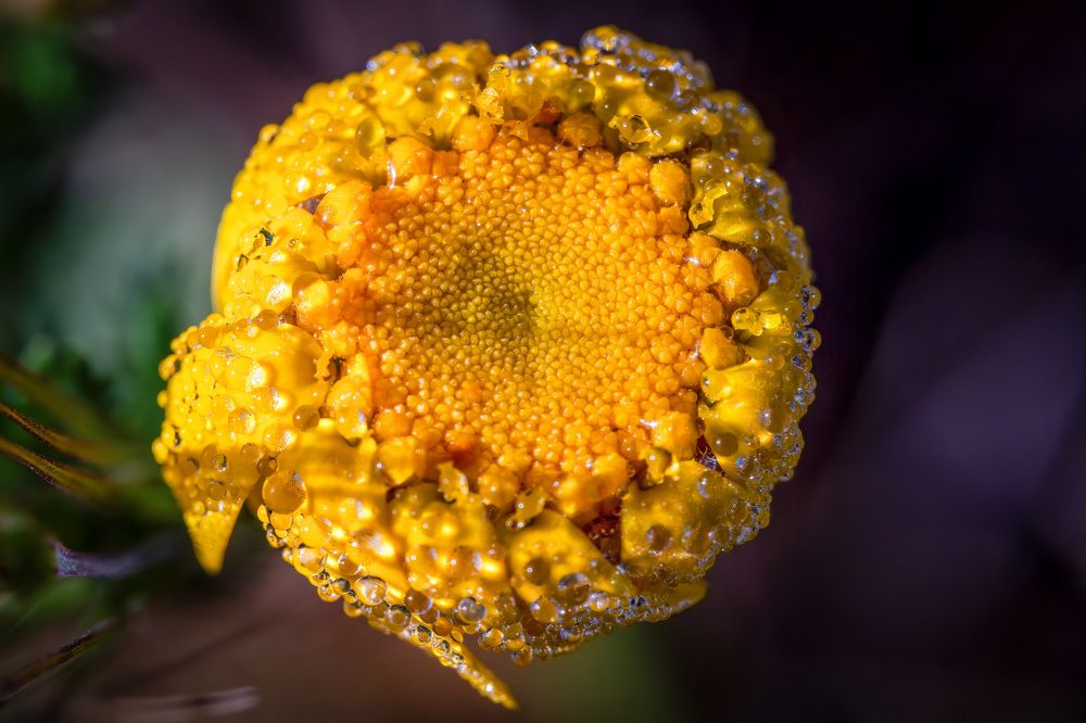 Photograph by Ilya Stolov