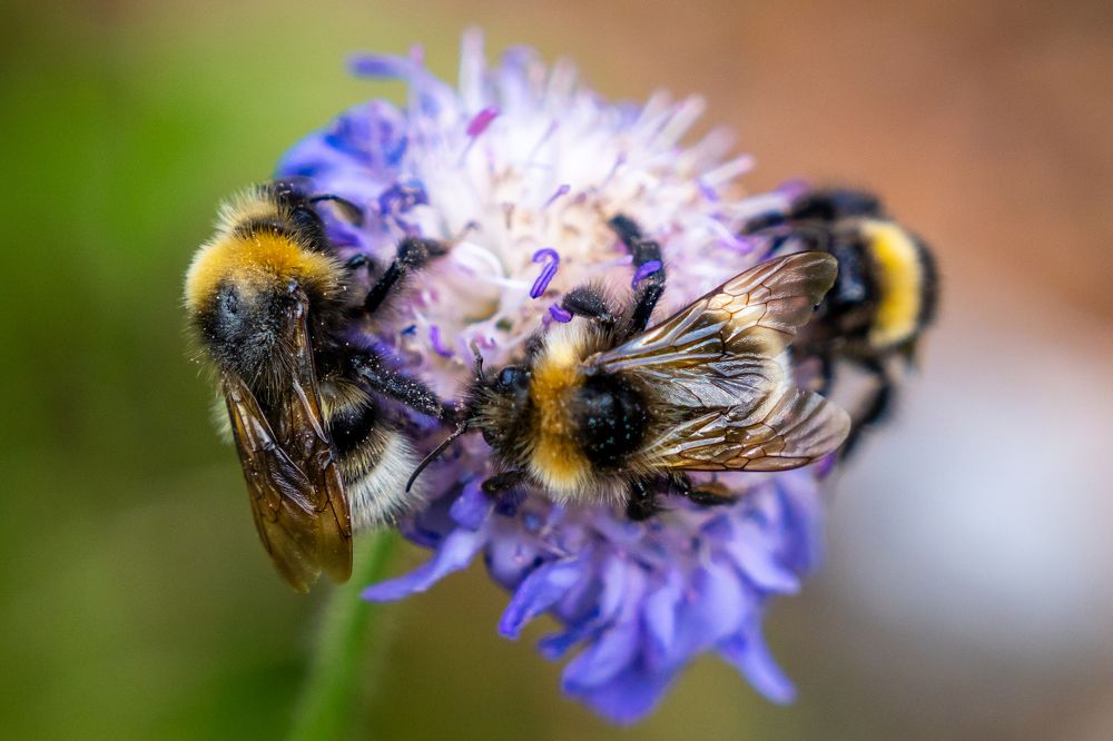 Photograph by Ilya Stolov