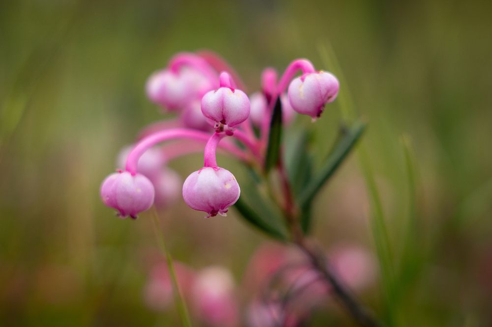 Photograph by Ilya Stolov