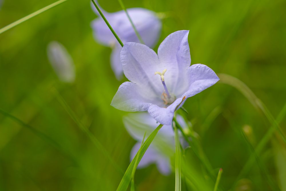 Photograph by Ilya Stolov