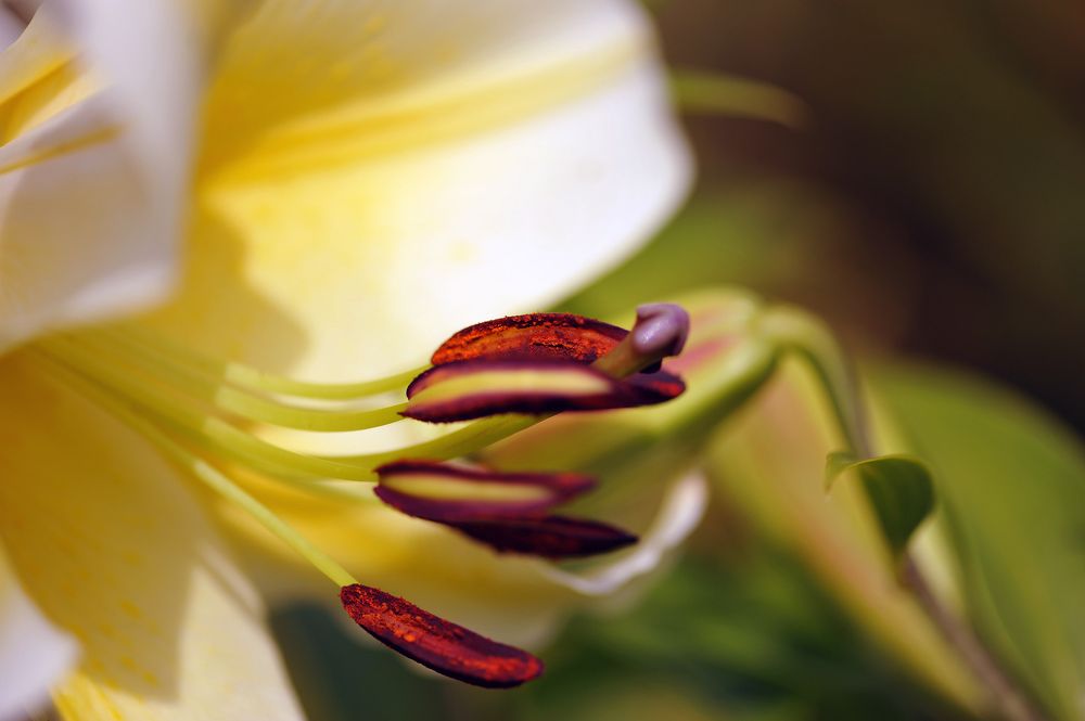 Photograph by Дмитрий Розенбаум