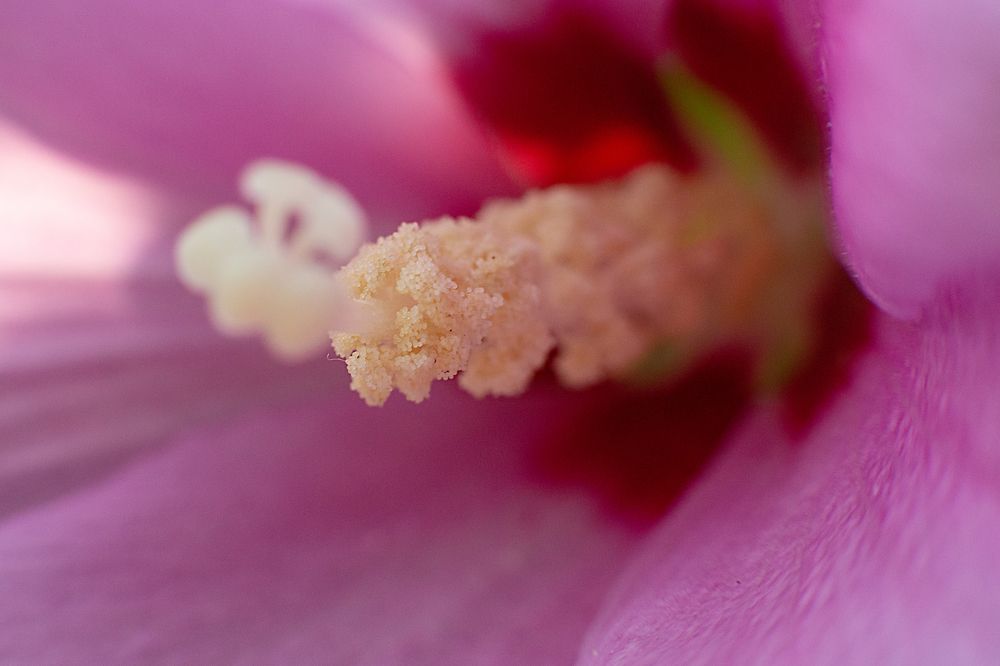 Photograph by Виталий Павлов