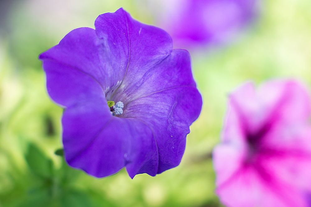 Photograph by Виталий Павлов