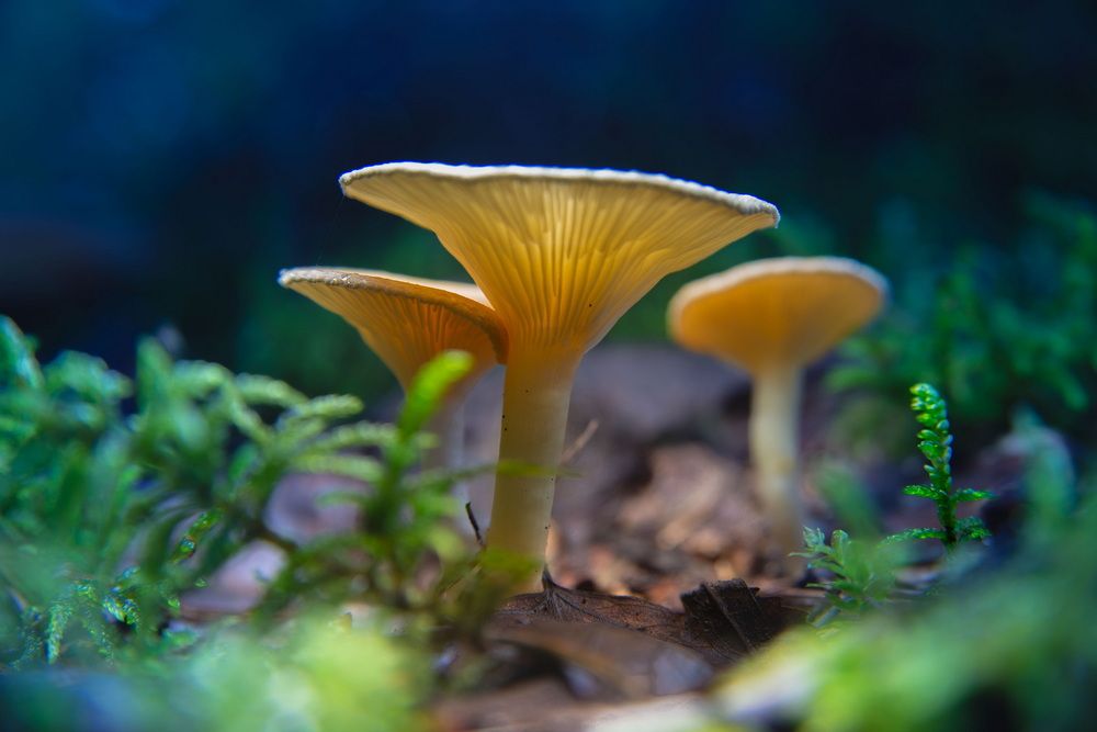 Photograph by Андреев Роман