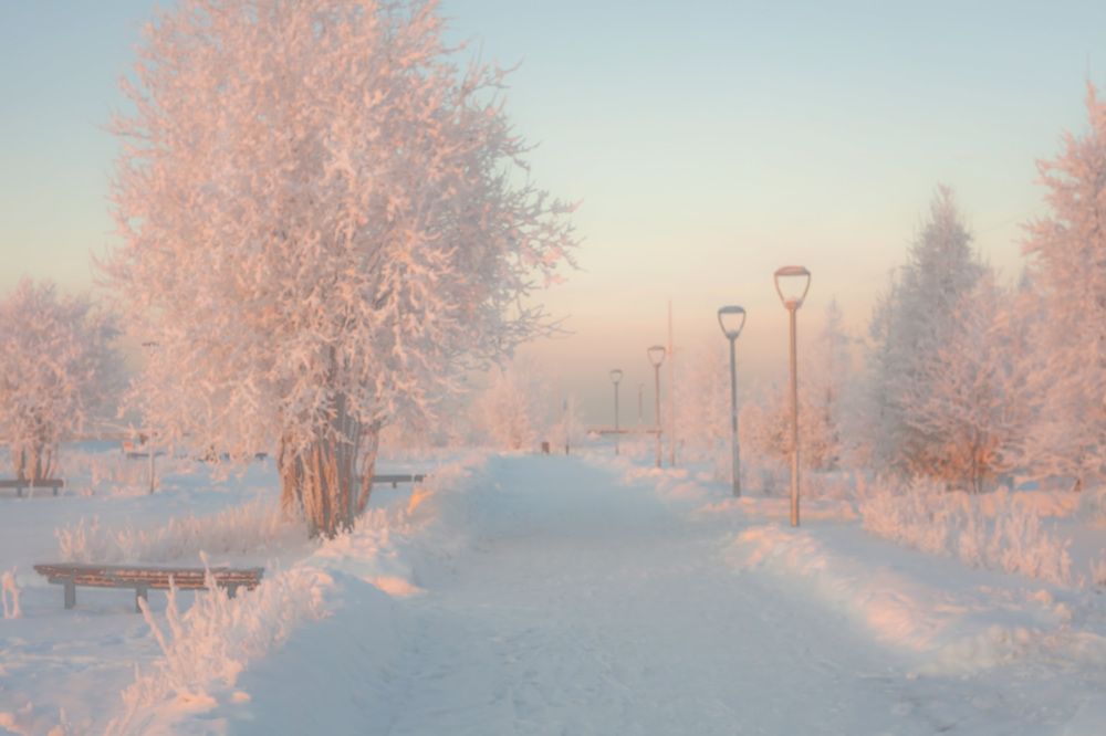 Photograph by Наталья Вторыгина