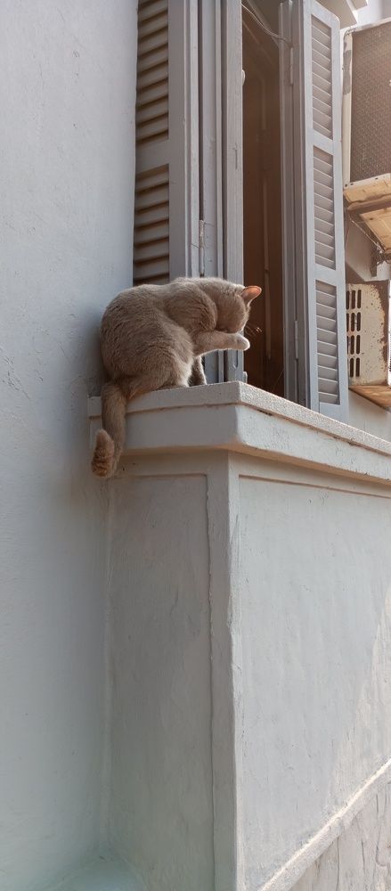 Photograph by Hugo Fernández