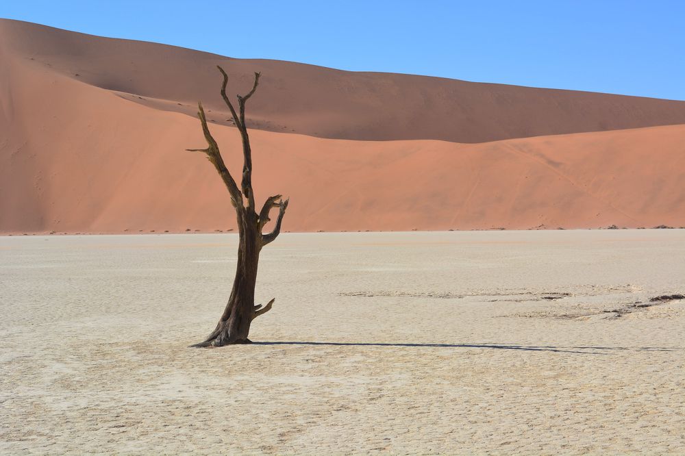 Photograph by Анатолий Орлов